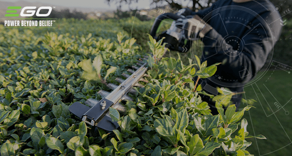 What to do with your hedge clippings 